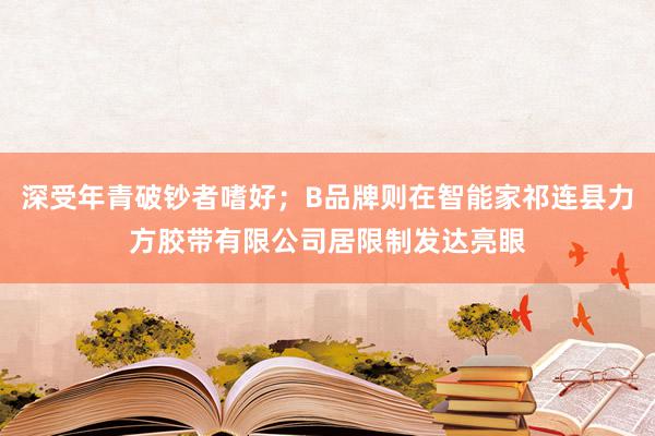 深受年青破钞者嗜好；B品牌则在智能家祁连县力方胶带有限公司居限制发达亮眼